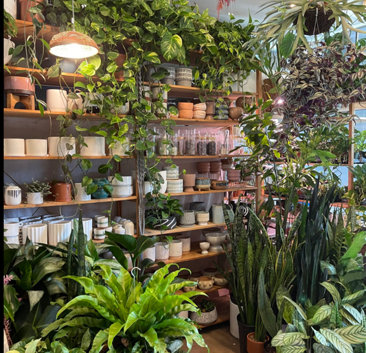 Unmasking the Silent Culprit: The Physical and Mental Toll of Stress