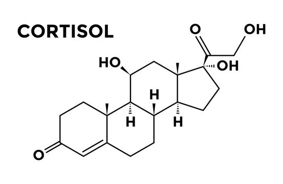 Understanding Cortisol: The Impact on Your Body and Natural Ways to Support Balance